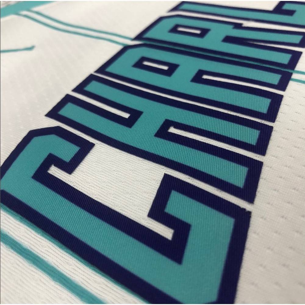 Men's Charlotte Hornets Hayward #20 Jordan Brand White 20/21 Swingman Jersey - Association Edition-Pro Kit Vault | Brand New 26/27 Sports Jerseys